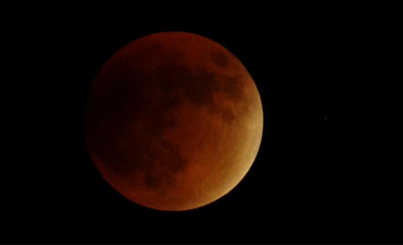 Illustration for article titled 34 Amazing Photos Of The Super Blood Moon